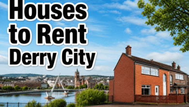 houses to rent derry city