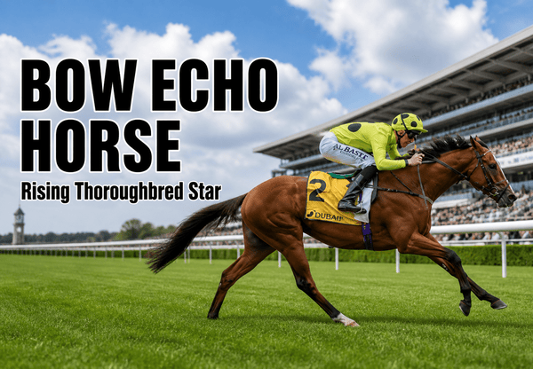 bow echo horse