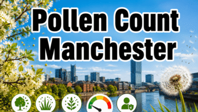 pollen count manchester