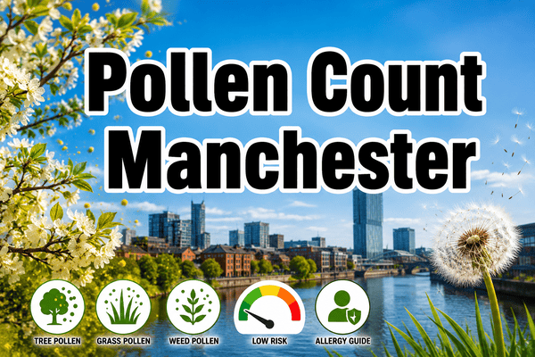 pollen count manchester